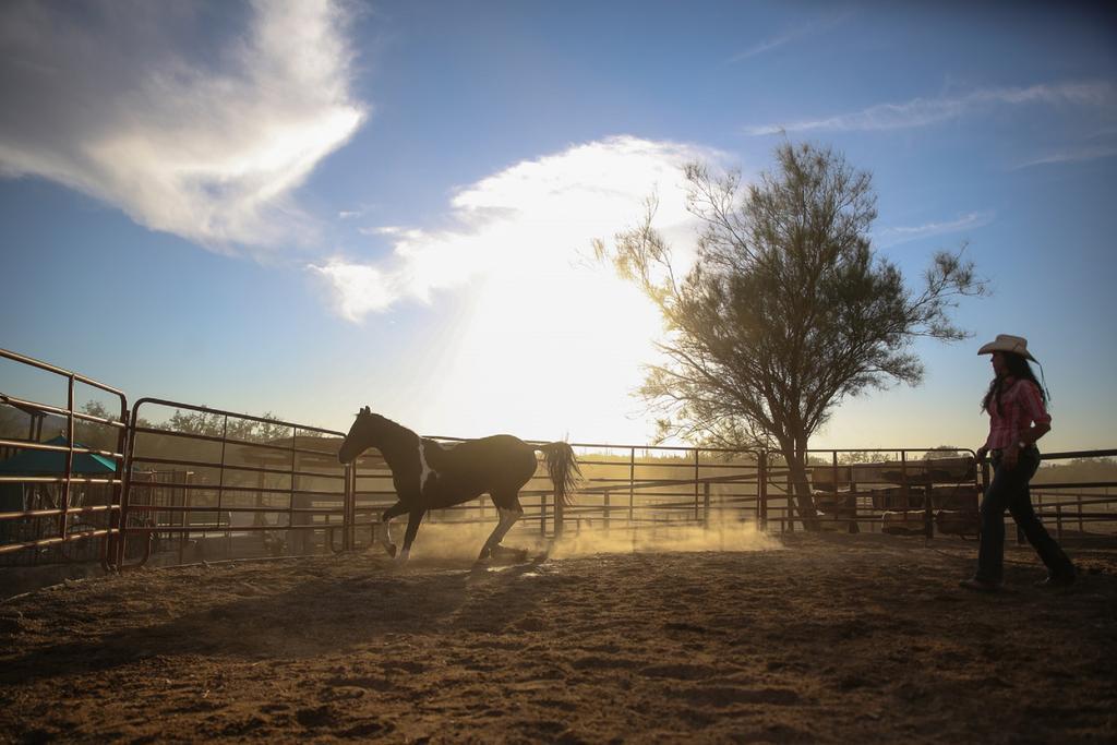Tanque Verde Guest Ranch ทูซอน ภายนอก รูปภาพ