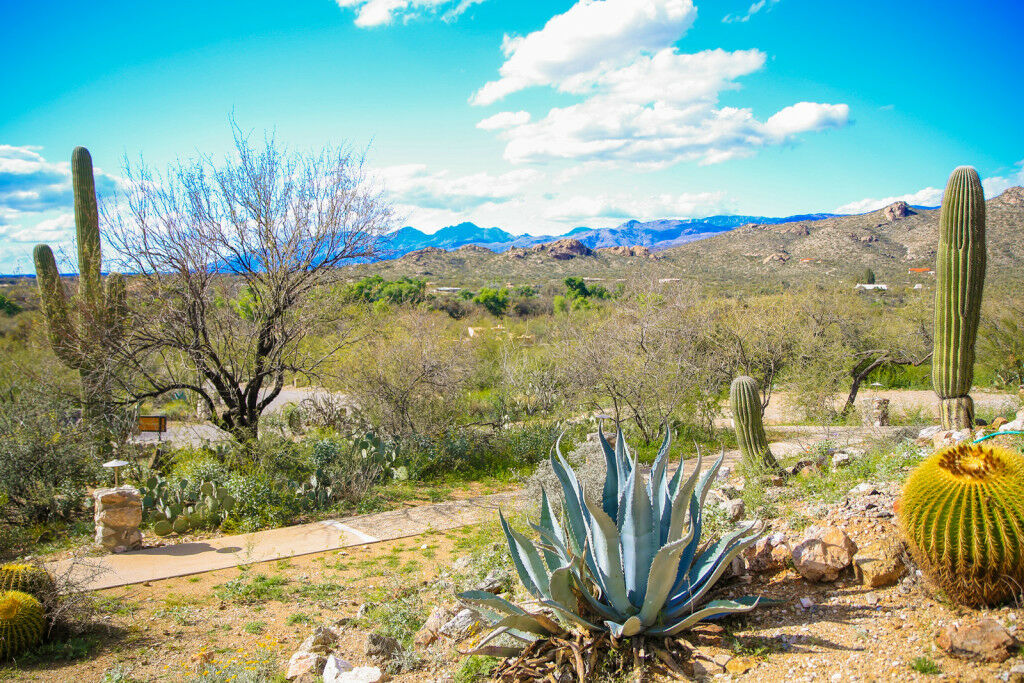 Tanque Verde Guest Ranch ทูซอน ภายนอก รูปภาพ