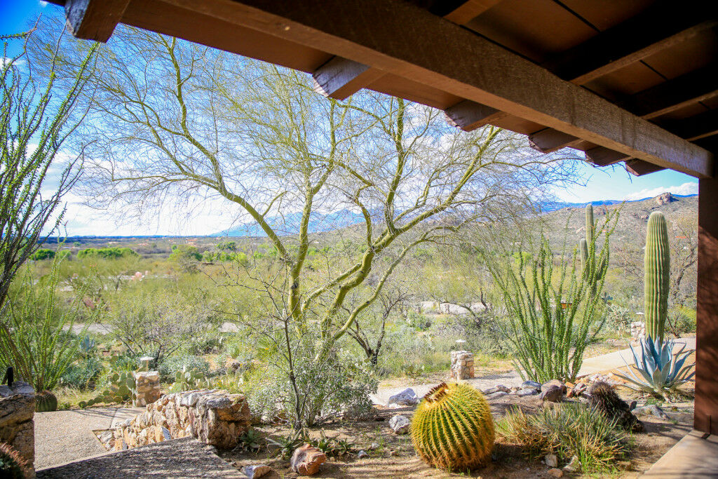Tanque Verde Guest Ranch ทูซอน ภายนอก รูปภาพ